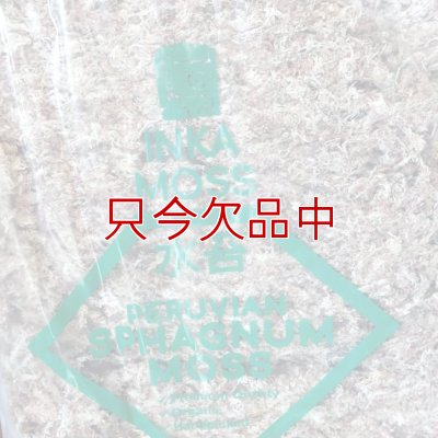 ペルー産ミズゴケ[A級] 【3kg / 240L】Inka Moss【プレミアム水苔】