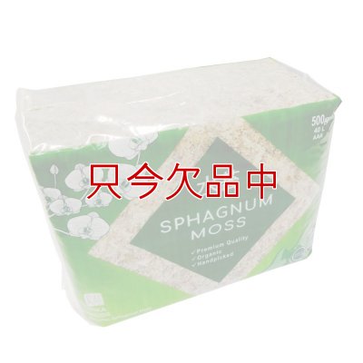 ペルー産ミズゴケ[AAA級] 【500g / 40L】Inka Moss【プレミアム水苔】