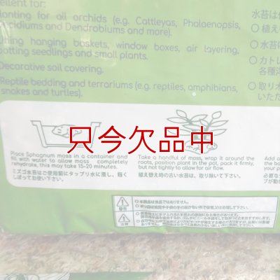 ペルー産ミズゴケ[AA級] 【150g / 12L】Inka Moss【プレミアム水苔】