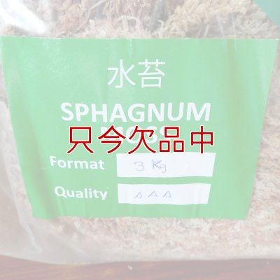 ペルー産ミズゴケ[AAA級] 【3kg / 240L】Inka Moss【プレミアム水苔】