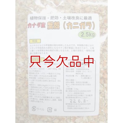 カナダ産・蟹殻（カニガラ）【2.5kg】