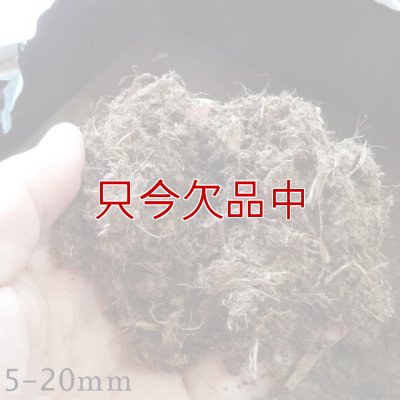 ラトビア産【長繊維】 無調整ピートモス（粒度：5-20mm）【14L】