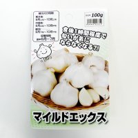 [2024年8月出荷品][長野県産]マイルドエックス｜種子用大蒜｜臭いの残らない国産ニンニク【100g】【単独注文でお願いいたします】