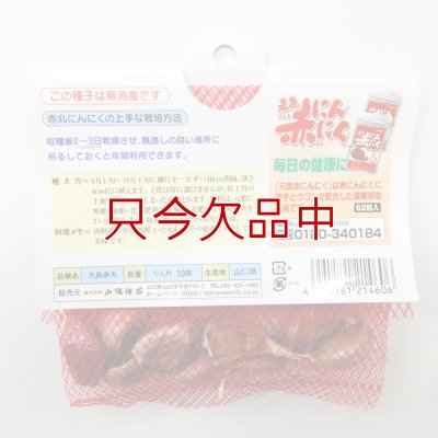 赤丸にんにく｜種子用大蒜｜りん片10球入