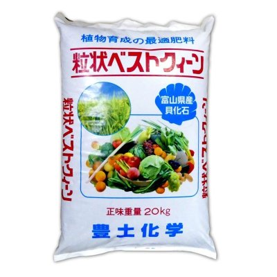 北陸産天然貝化石 - ベストクイーン（粒状）【20kg】