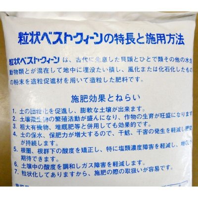 北陸産天然貝化石 - ベストクイーン（粒状）【20kg】