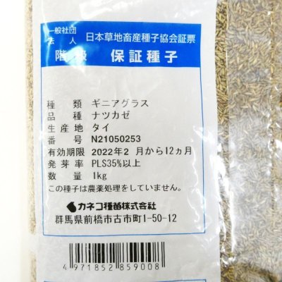 【牧草種子】【緑肥種子】ナツカゼ｜ギニアグラス【1kg】硬盤破砕｜線虫抑制｜除塩｜カネコ種苗製