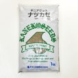 【牧草種子】【緑肥種子】ナツカゼ｜ギニアグラス【1kg】硬盤破砕｜線虫抑制｜除塩｜カネコ種苗製