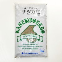 [品薄]【暖地型牧草種子】ギニアグラス｜ナツカゼ【1kg】（普通種子）早生種｜緑肥｜カネコ種苗製