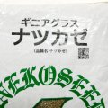 【暖地型牧草種子】【緑肥種子】ギニアグラス ナツカゼ｜普通種子【1kg】硬盤破砕｜線虫抑制｜除塩｜カネコ種苗製