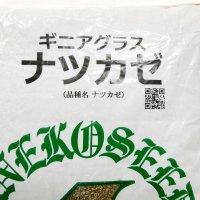 【暖地型牧草種子】【緑肥種子】ギニアグラス ナツカゼ｜普通種子【1kg】硬盤破砕｜線虫抑制｜除塩｜カネコ種苗製