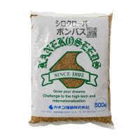 [新発売]【牧草種子】シロクローバ｜ボンバス（大葉種）【500g】マメ科牧草｜カネコ種苗製