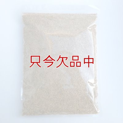 Ｊ．ガーデングラスタフグリーン【1.5L】