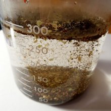 詳細写真2: 昆布粉末-酪農・農業用-【20kg】（20メッシュ海藻粉末）炭酸Ca3％入ラミナリア・ジャポニカ（真昆布）
