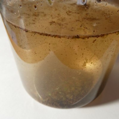 （肥料用）昆布粉末（20メッシュ）【100kg（20kgｘ5個）】肥料用真昆布