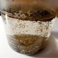 （肥料用）昆布粉末（20メッシュ）【100kg（20kgｘ5個）】肥料用真昆布