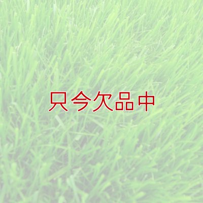 Ｊ．ガーデングラスタフグリーン【1.5L】