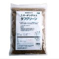 タフグリーン【1.5L】暑さ寒さに強い西洋芝 ｜Ｊ・ガーデングラス｜カネコ種苗