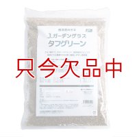 [2026年10月期限のため見切り処分]タフグリーン【1.5L】暑さ寒さに強い西洋芝 ｜Ｊ・ガーデングラス｜カネコ種苗