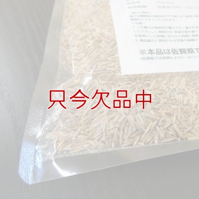 Ｊ．ガーデングラスタフグリーン【1.5L】