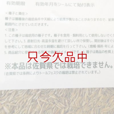 Ｊ．ガーデングラスタフグリーン【1.5L】