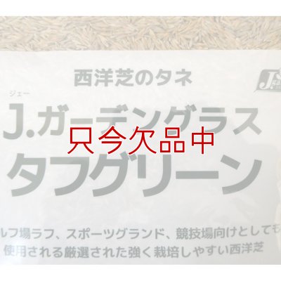 Ｊ．ガーデングラスタフグリーン【1.5L】