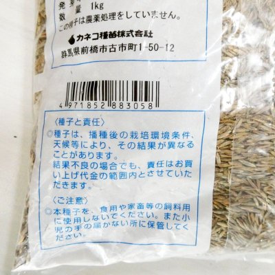 【新発売】【牧草種子】ペレニア新品種｜夏ごしペレ【1kg】