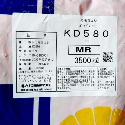 飼料用トウモロコシ｜ゴールドデント｜KD580