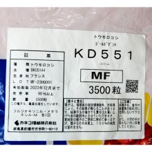 詳細写真3: 【牧草種子】ゴールドデント｜KD551 [RM105] 3500粒/約500平方ｍ分｜茎葉、子実ともに多収品種｜カネコ種苗製