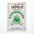 【牧草種子】エンバク｜はやわざ｜超極早生種【1kg】農研機構・カネコ種苗共同育成品種