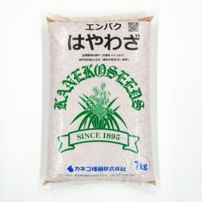 【牧草種子】エンバク｜はやわざ｜超極早生種【1kg】農研機構・カネコ種苗共同育成品種