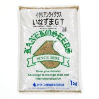 【新発売】【牧草種子】イタリアンライグラス｜いなずまGT【早生種】【1kg】【短期利用型飼料作物用】PVP登録品種｜カネコ種苗製 