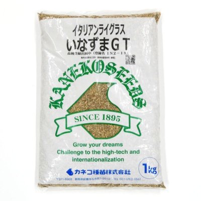 イタリアンライグラス｜いなずまGT【早生種】【1kg】