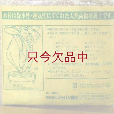 ニュージーランド産ミズゴケ[AAAA級]【500g（40L）】