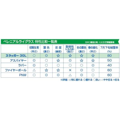 【西洋芝種子】ペレニアルライグラス｜スラッガー3GL｜通年維持管理用