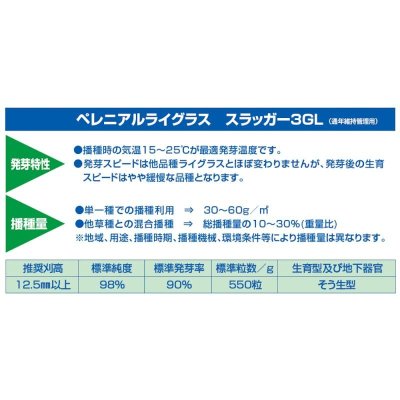 【西洋芝種子】ペレニアルライグラス｜スラッガー3GL｜通年維持管理用