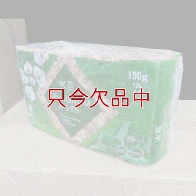 ペルー産ミズゴケ[AA級] 【150g / 12L】Inka Moss【プレミアム水苔】