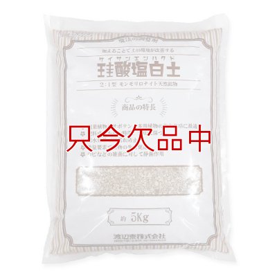 粉粒体-珪酸塩白土【5kg】ケイサンエンハクド（2：1型モンモリロナイト天然鉱物）
