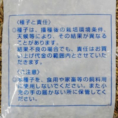 【牧草種子】イタリアンライグラス|フウジンSR【1kg】【4倍体中晩生種/中期利用型】2023年秋発売新品種|カネコ種苗製