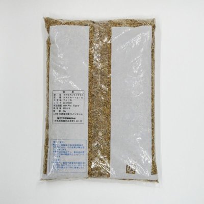 【牧草種子】イタリアンライグラス|フウジンSR【1kg】【4倍体中晩生種/中期利用型】2023年秋発売新品種|カネコ種苗製