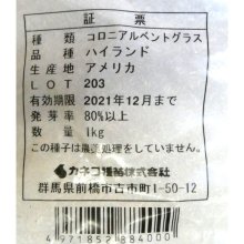 詳細写真1: コロニアルベントグラス ハイランド【1kg】【約70-100平方メートル/kg】