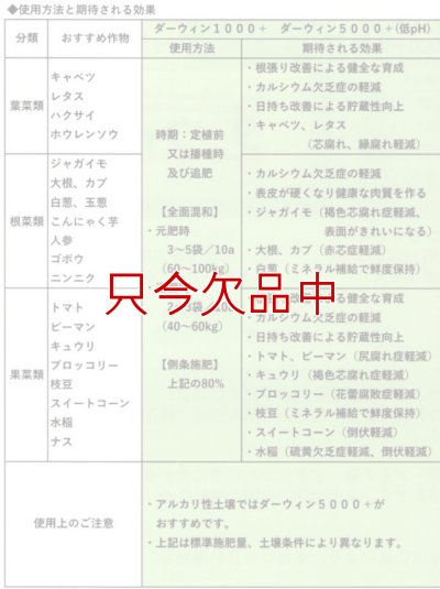 ダーウィン1000+ 硫酸カルシウム