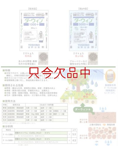 ダーウィン1000+ 硫酸カルシウム