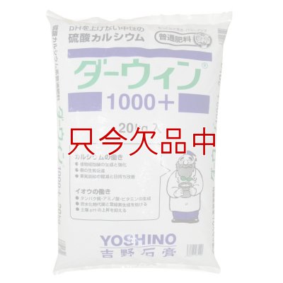 ダーウィン1000+