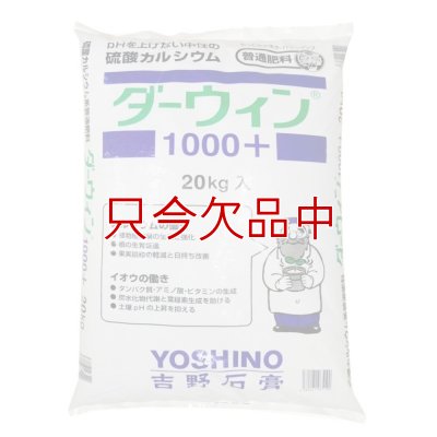 ダーウィン1000+