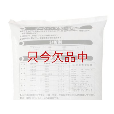 ダーウィン1000+