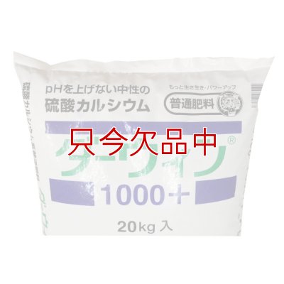 ダーウィン1000+