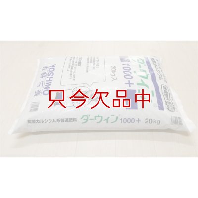 ダーウィン1000+