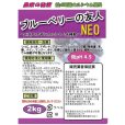 ブルーベリーの友人neo