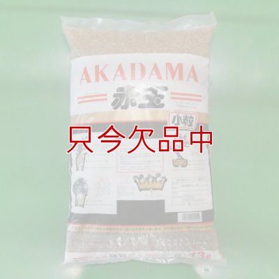 二本線赤玉土（茨城産硬質）小粒